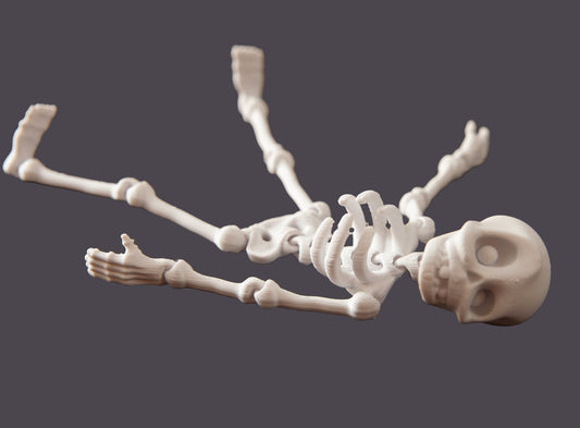 3D Printed Skeleton