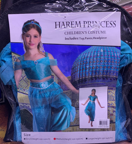 Instant Harem Princess Costume