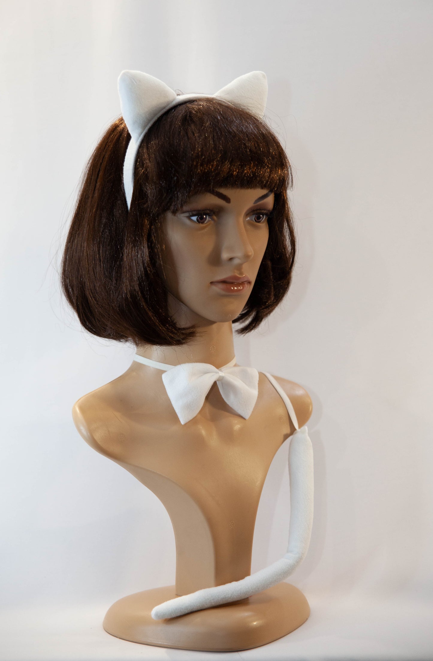 Cat - White Ears, Tail and Bow Tie