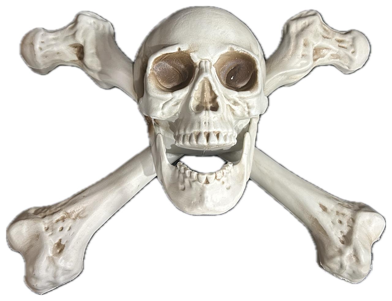 Skull & Crossbones