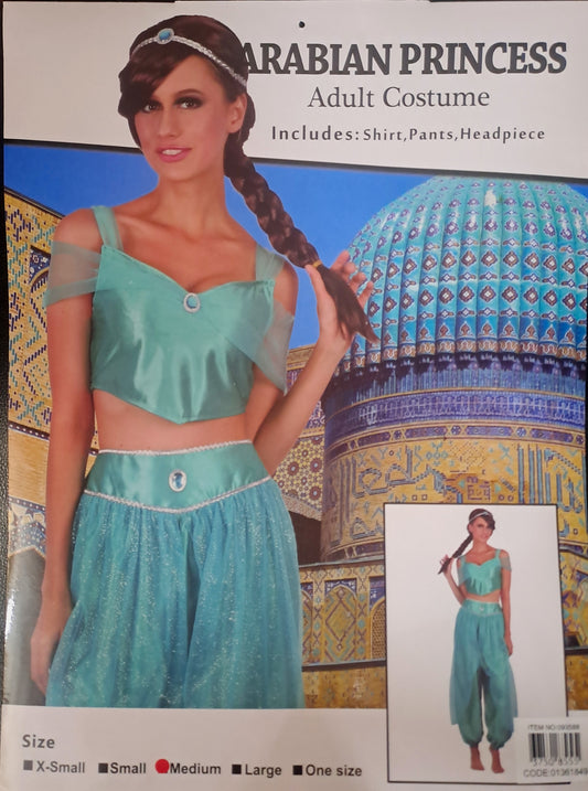 Arabian Princess - Adult Costume