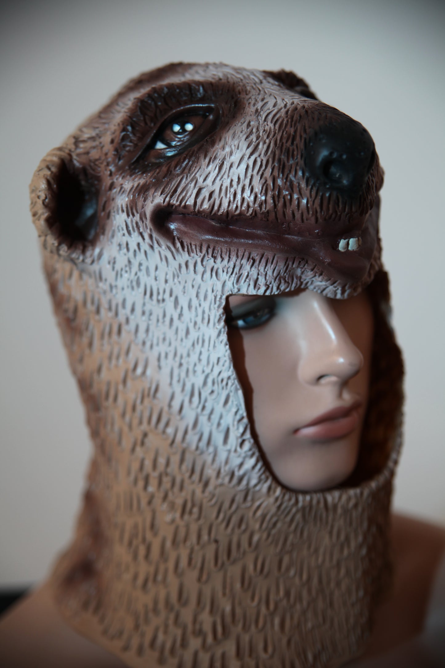 Kids Animal Latex Face Mask - Meerkat Mongoose (C134W)