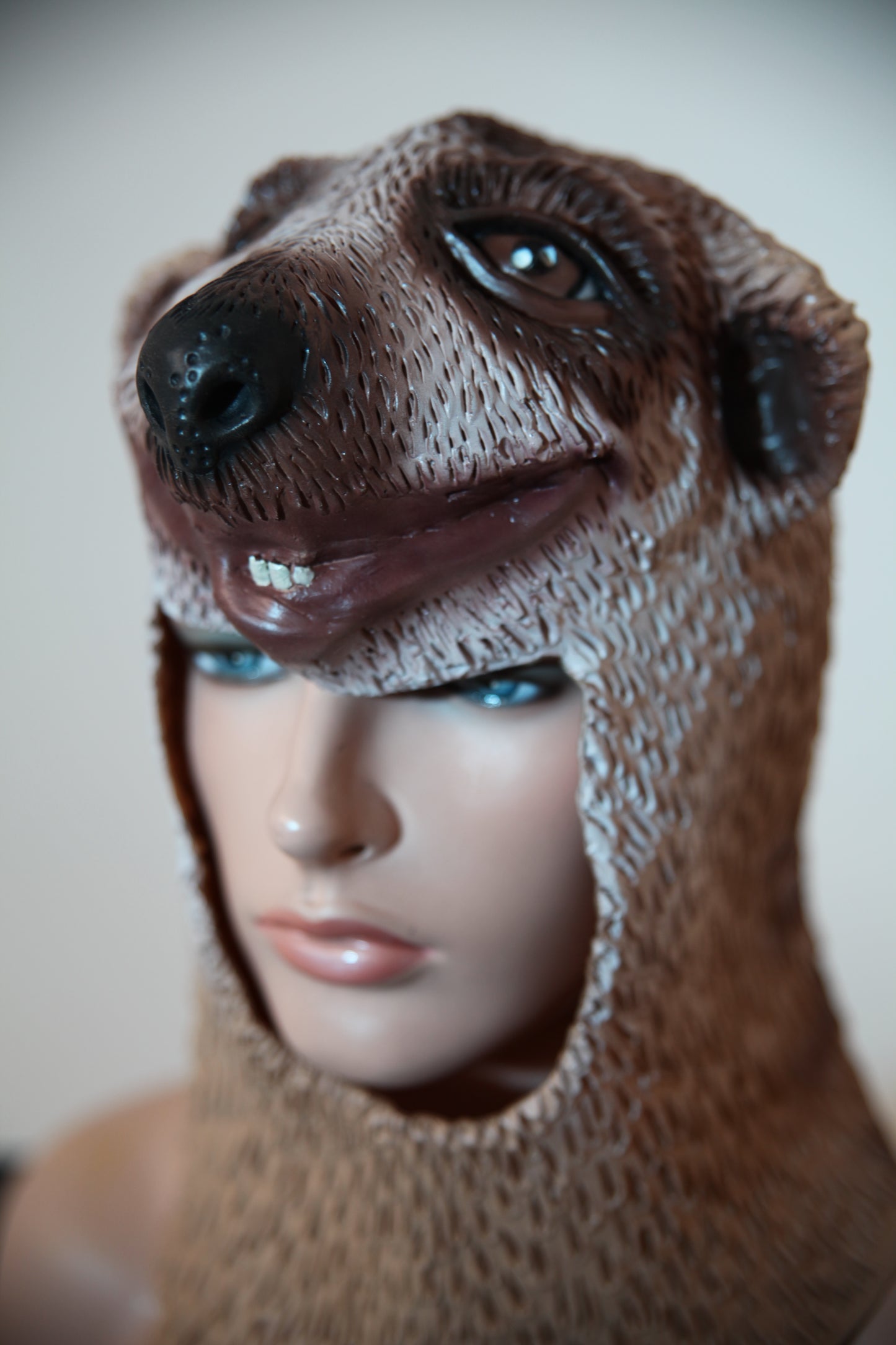 Kids Animal Latex Face Mask - Meerkat Mongoose (C134W)