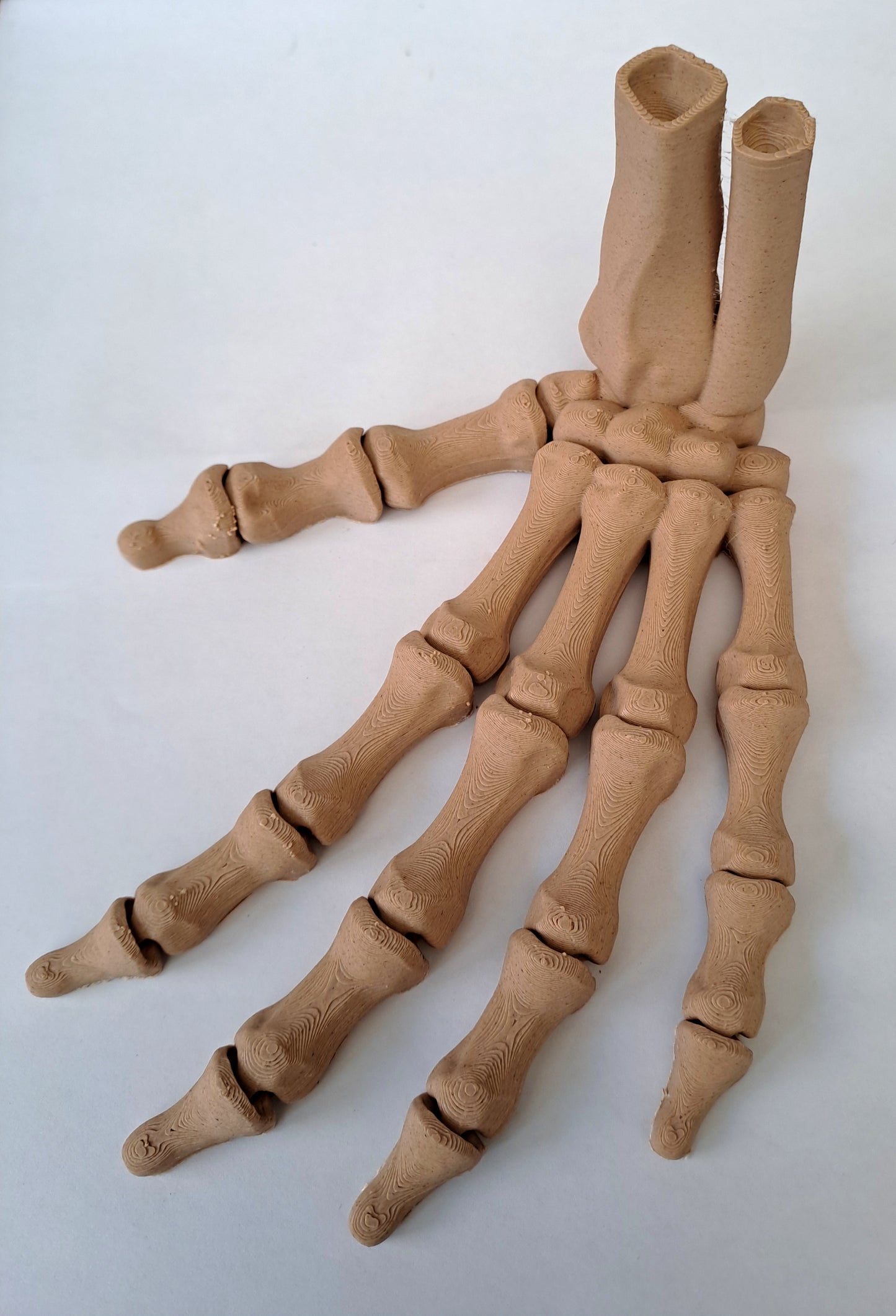 3D Printed Bone Hand