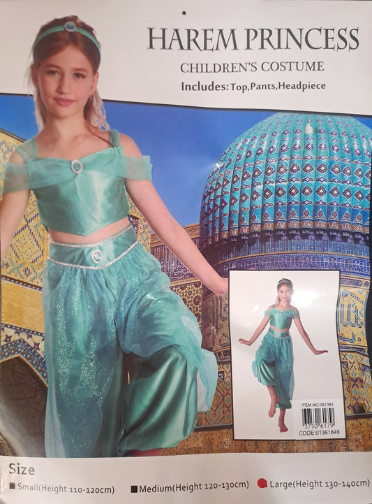 Harem Princess - Instant Children's Costume